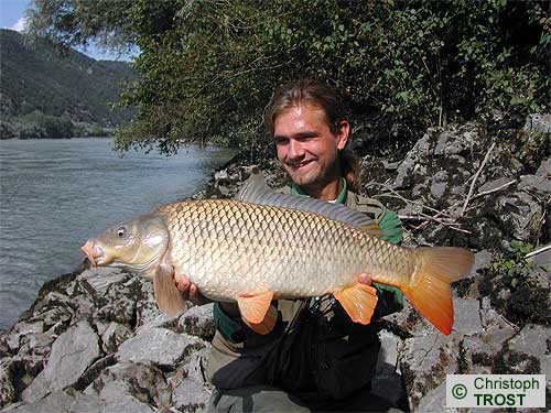 Zur�ck zu Karpfen 2006