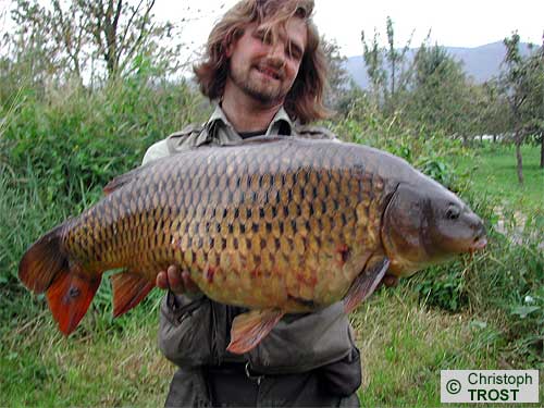 Zur�ck zu Karpfen 2006
