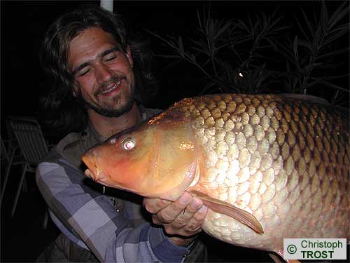 Zur�ck zu Karpfen 2006