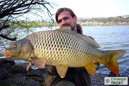 Zur�ck zu Karpfen 2007