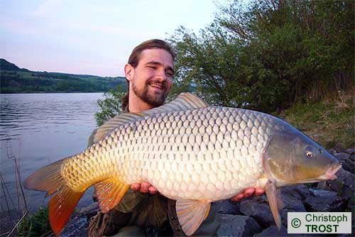 Zur�ck zu Karpfen 2007