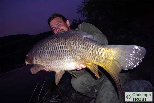 Zur�ck zu Karpfen 2007