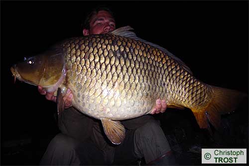 Zur�ck zu Karpfen 2007