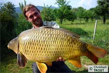 Karpfen 2007