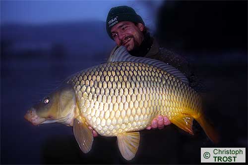 Zur�ck zu Karpfen 2007