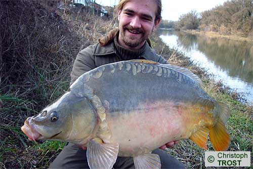Zur�ck zu Karpfen 2008