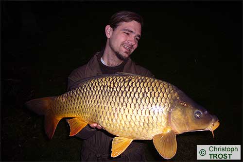 Zur�ck zu Karpfen 2008