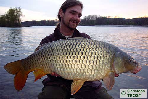 Zur�ck zu Karpfen 2008