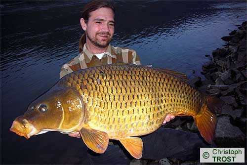 Zur�ck zu Karpfen 2008