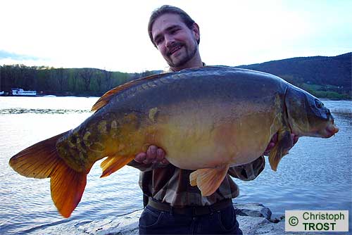 Zur�ck zu Karpfen 2008