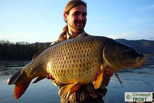 Zur�ck zu Karpfen 2008