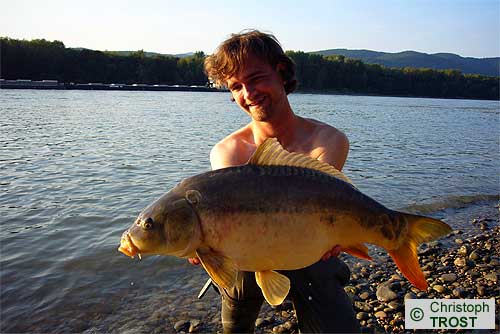 Zur�ck zu Karpfen 2008