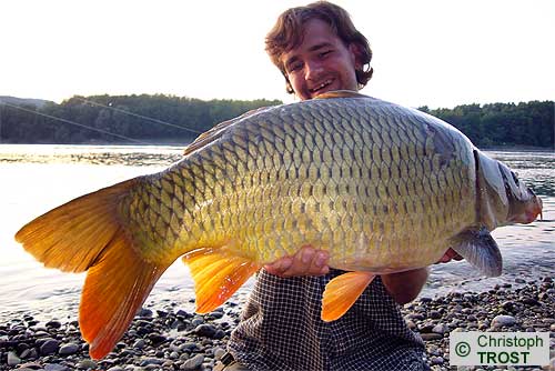 Zur�ck zu Karpfen 2008