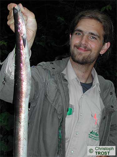 Zur�ck zu Besonderes