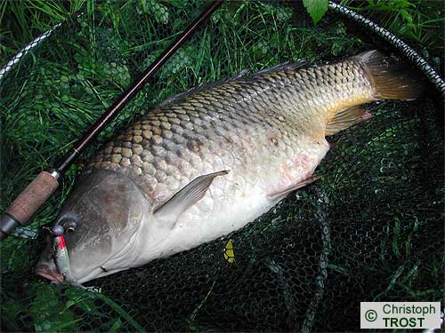 Zur�ck zu Besonderes