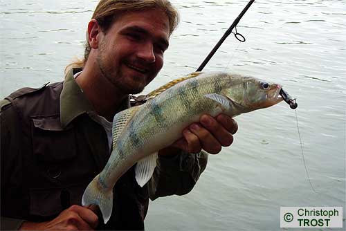 Zur�ck zu Besonderes