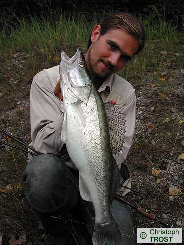 Zur�ck zu Zander 2003 bis 2006