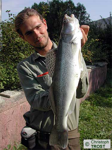 Zur�ck zu Zander 2003 bis 2006