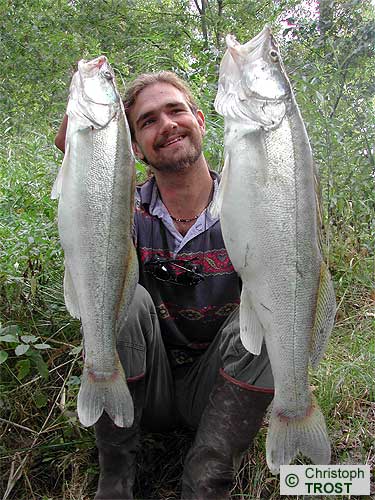 Zur�ck zu Zander 2003 bis 2006