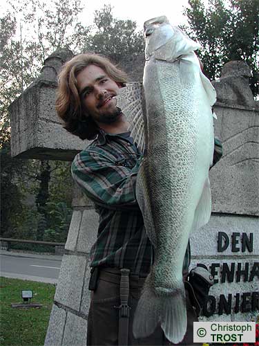 Zur�ck zu Zander 2003 bis 2006