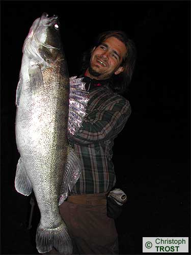 Zur�ck zu Zander 2003 bis 2006