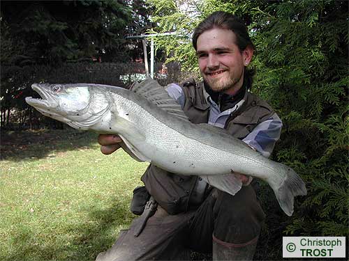 Zur�ck zu Zander 2003 bis 2006