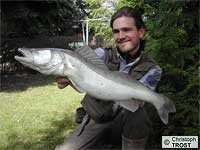 Zander 2003 bis 2006