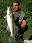 Zander 2003 bis 2006