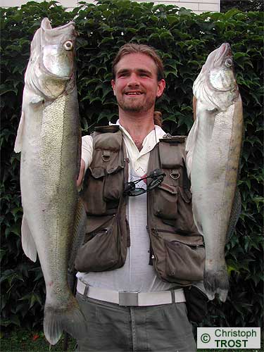 Zur�ck zu Zander 2003 bis 2006