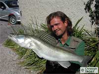 Zander 2003 bis 2006