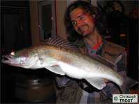 Zander 2003 bis 2006