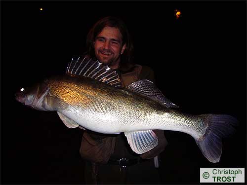 Zur�ck zu Zander 2007