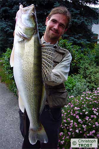 Zur�ck zu Zander 2007