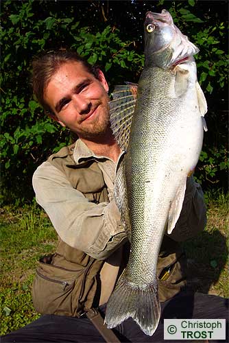 Zur�ck zu Zander 2007