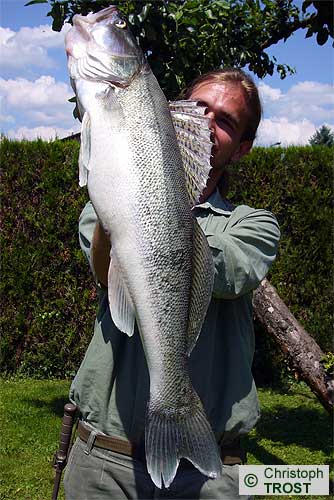 Zur�ck zu Zander 2007