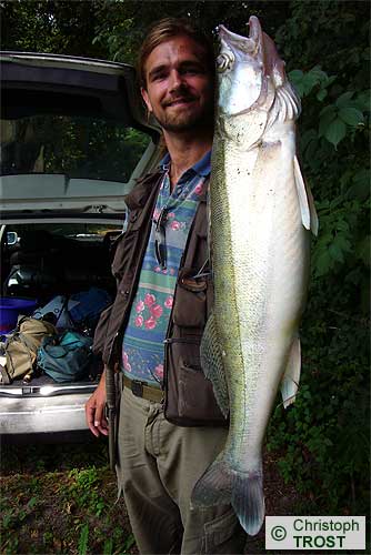 Zur�ck zu Zander 2007