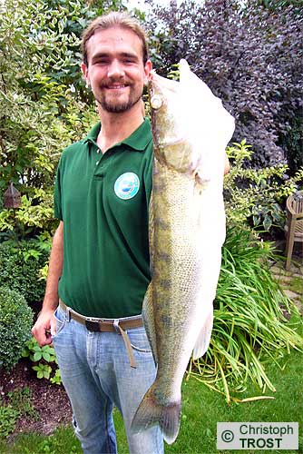 Zur�ck zu Zander 2007