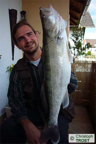 Zur�ck zu Zander 2007