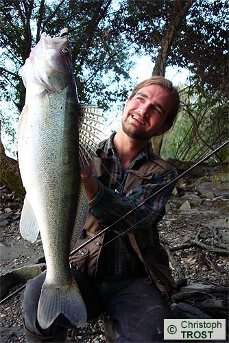 Zur�ck zu Zander 2007