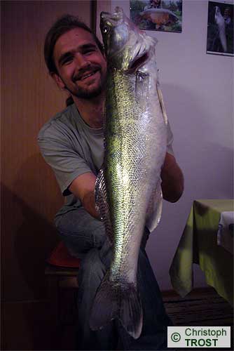 Zur�ck zu Zander 2007