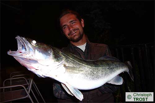 Zur�ck zu Zander 2007