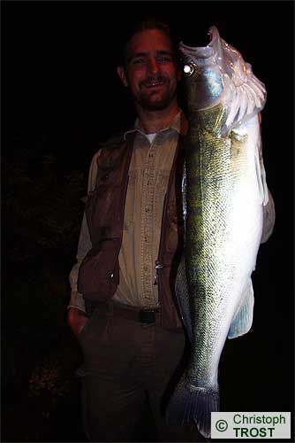 Zur�ck zu Zander 2007