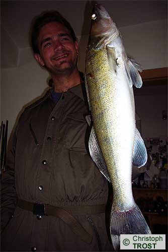 Zur�ck zu Zander 2007