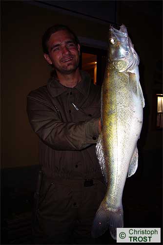 Zur�ck zu Zander 2007