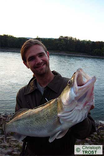 Zur�ck zu Zander 2007