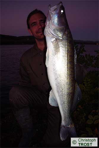 Zur�ck zu Zander 2007