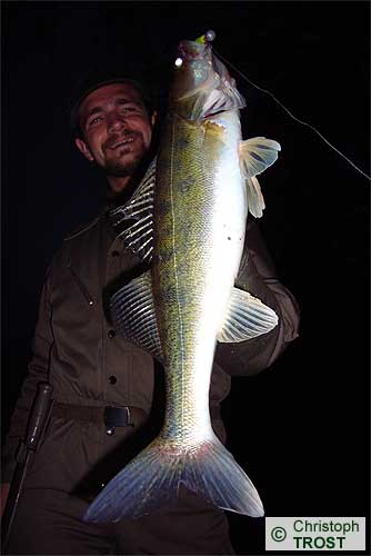 Zur�ck zu Zander 2007