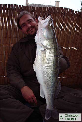 Zur�ck zu Zander 2007