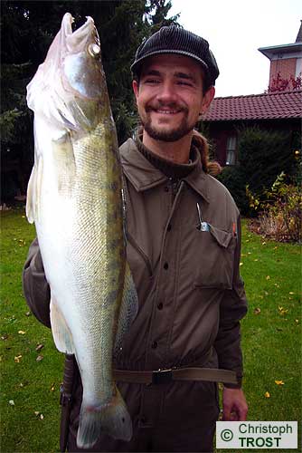 Zur�ck zu Zander 2007