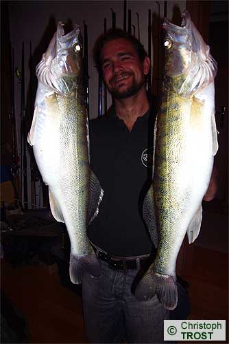 Zur�ck zu Zander 2007